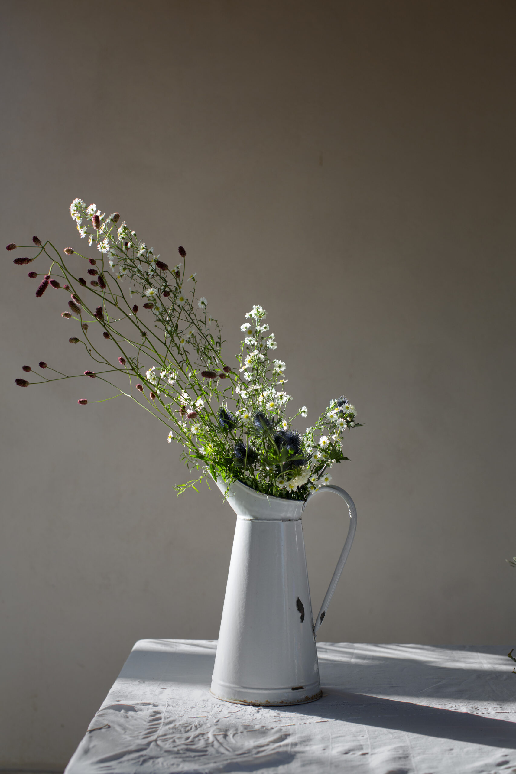 Una Lechera, pequeños jardines, musgo y margaritas
