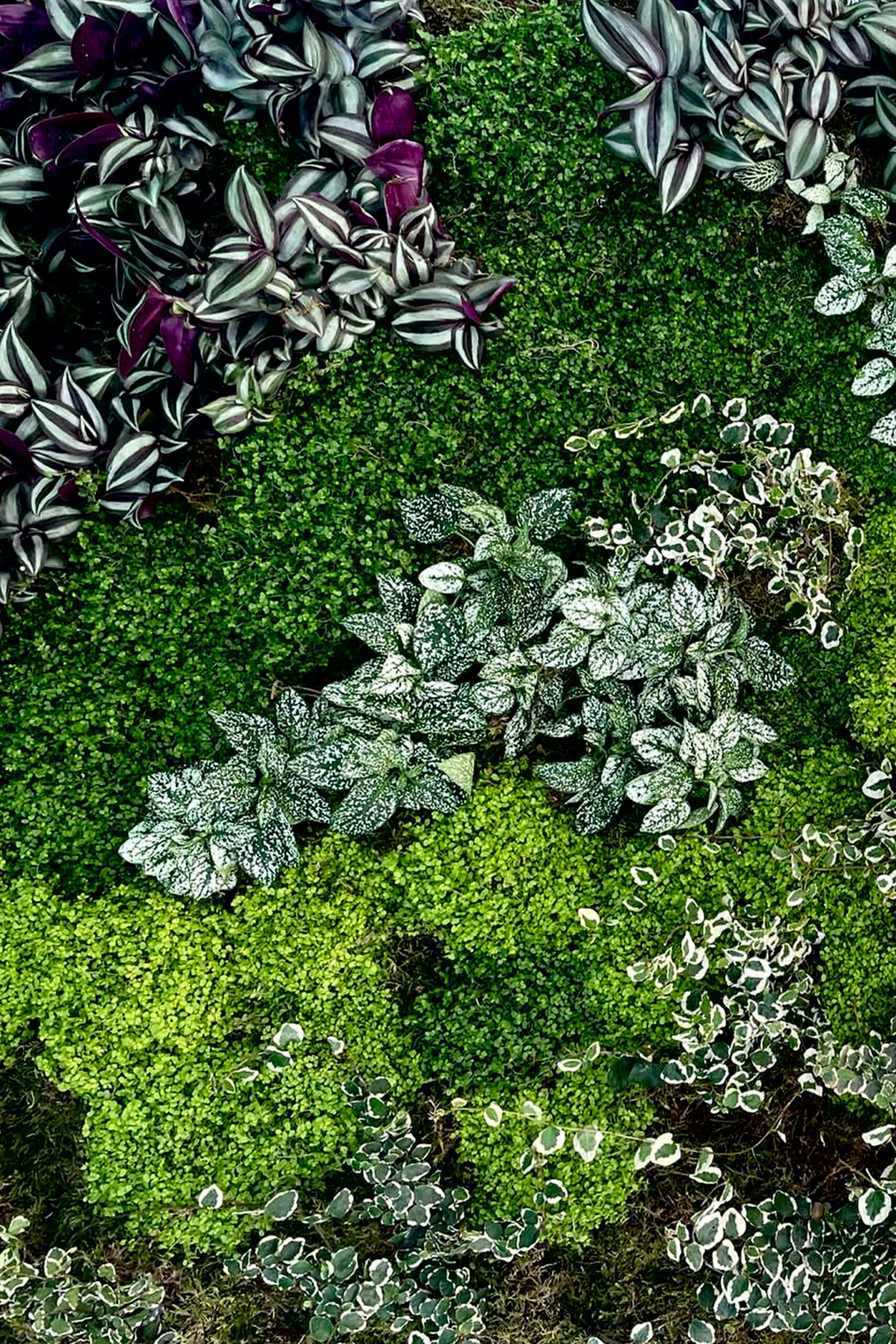 Jardín Vertical Bp Pulse, Feria vehículo eléctrico de Madrid, Plaza Colón