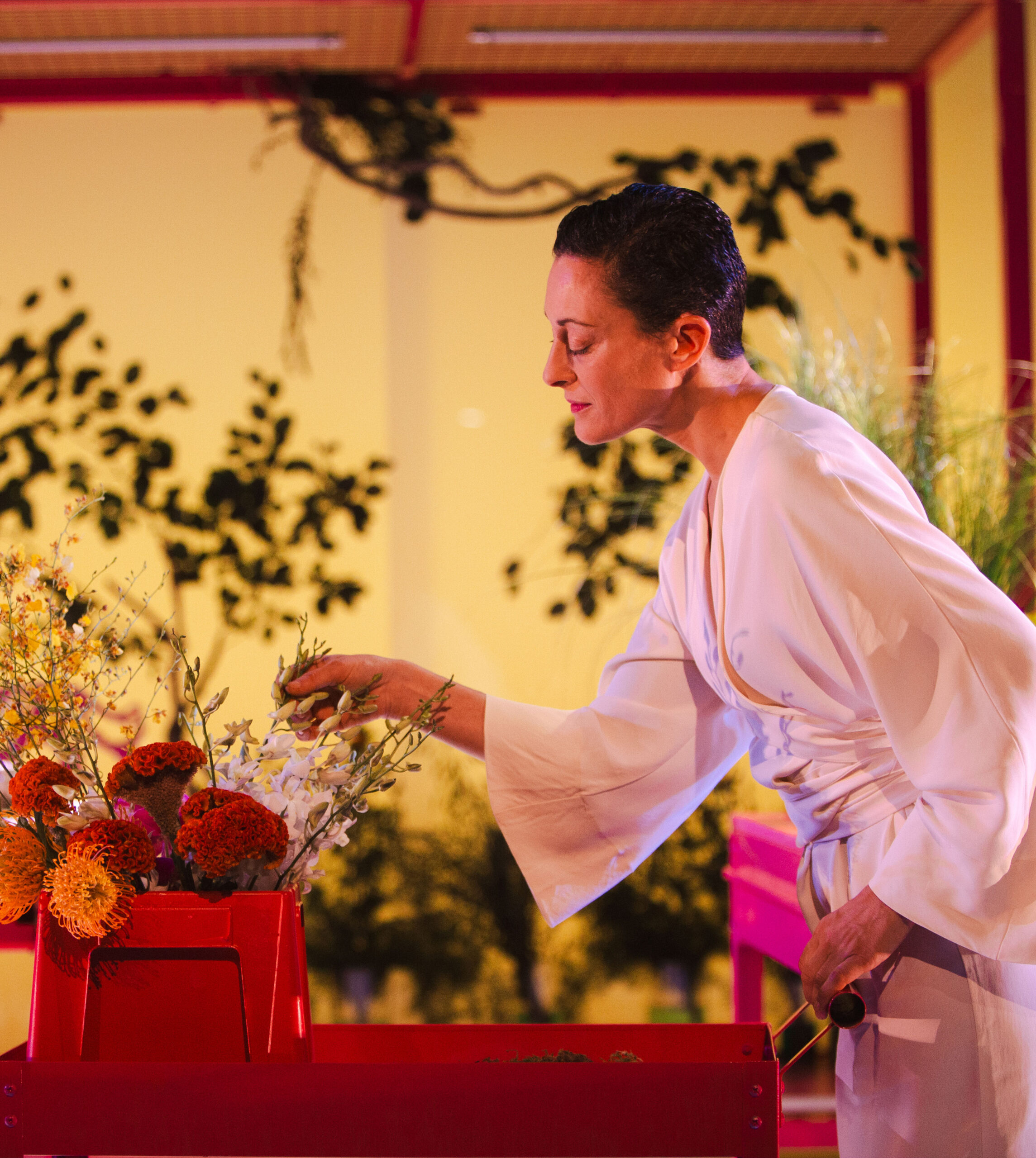 Tarántula Revista Cultural | Luque arma la dramaturgia de Filosofía mundana en el jardín de Villamil